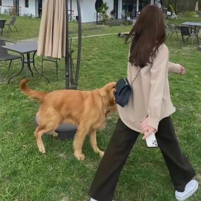 我去过你的未来