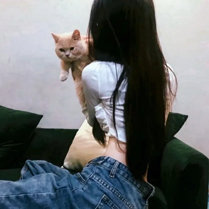 圣诞结